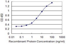 Monoclonal Anti-PDE4C, (N-terminal) antibody produced in mouse clone 4E5, purified immunoglobulin, buffered aqueous solution