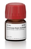 Tyrosinase from mushroom lyophilized powder, &#8805;1000&#160;unit/mg solid