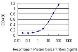 Monoclonal Anti-PARD3 antibody produced in mouse clone 4G5, purified immunoglobulin, buffered aqueous solution