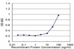 Monoclonal Anti-UBE2E3 antibody produced in mouse clone 3E9, purified immunoglobulin, buffered aqueous solution