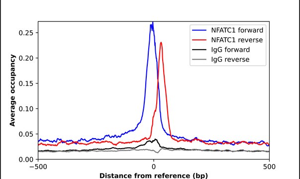 Anti-NFATC1 antibody produced in rabbit Prestige Antibodies&#174; Powered by Atlas Antibodies, affinity isolated antibody