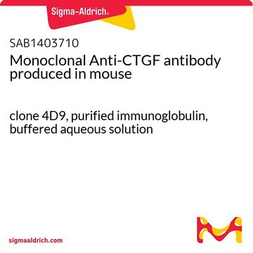 Monoclonal Anti-CTGF antibody produced in mouse clone 4D9, purified immunoglobulin, buffered aqueous solution