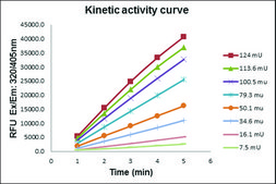 Angiotensin I Converting Enzyme (ACE) Activity Assay Kit (Fluorometric) sufficient for 200&#160;fluorometric&nbsp;tests