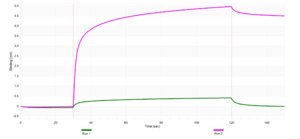 Anti-IL-12B Antibody, clone 1N3 ZooMAb&#174; Rabbit Monoclonal recombinant, expressed in HEK 293 cells