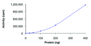 PAK1, active, GST tagged human PRECISIO&#174; Kinase, recombinant, expressed in baculovirus infected Sf9 cells, &#8805;70% (SDS-PAGE), buffered aqueous glycerol solution