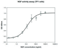Nerve Growth Factor-ß human recombinant, expressed in HEK 293 cells, lyophilized powder, suitable for cell culture
