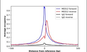 Anti-MED12 antibody produced in rabbit Ab2, Prestige Antibodies&#174; Powered by Atlas Antibodies, affinity isolated antibody, buffered aqueous glycerol solution