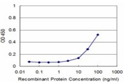 Monoclonal Anti-PLA2G4B antibody produced in mouse clone 1G5, purified immunoglobulin, buffered aqueous solution