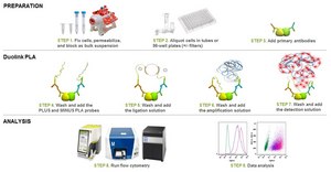 Duolink&#174; flowPLA Detection Kit - Red DUOLINK&#174; : PLA kit for Flow Cytometry with Red Detection