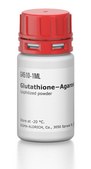 Glutathione&#8722;Agarose lyophilized powder