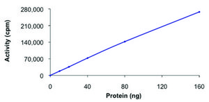 AKT1, active, GST tagged human PRECISIO&#174; Kinase, recombinant, expressed in baculovirus infected Sf9 cells, &#8805;70% (SDS-PAGE), buffered aqueous glycerol solution