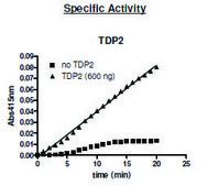 TDP2 active human recombinant, expressed in baculovirus infected Sf9 cells, &#8805;87% (SDS-PAGE)