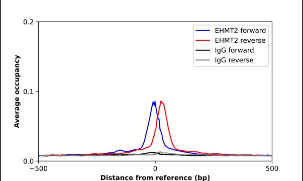 Anti-EHMT2 antibody produced in rabbit Prestige Antibodies&#174; Powered by Atlas Antibodies, affinity isolated antibody