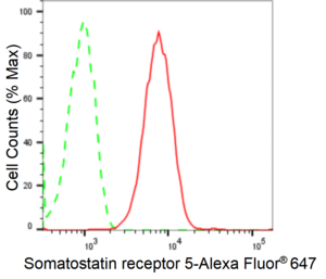 KD-Validated Anti Somatostatin Receptor 5 Antibody, clone 24GB2600, Rabbit Monoclonal clone 24GB2600, recombinant rabbit monoclonal, expressed in HEK293 cells