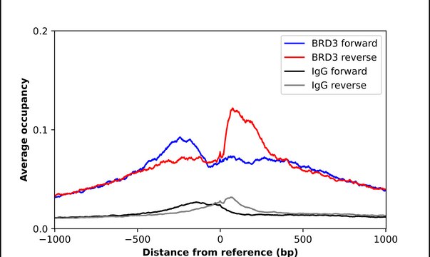 Anti-BRD3 antibody produced in rabbit Prestige Antibodies&#174; Powered by Atlas Antibodies, affinity isolated antibody, buffered aqueous glycerol solution