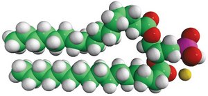 16:0 PA Avanti Research&#8482; - A Croda Brand