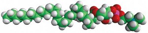 26:0 Lyso PC 1-hexacosanoyl-2-hydroxy-sn-glycero-3-phosphocholine, powder