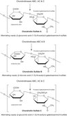 Chondroitinase&#160;ABC from Proteus vulgaris BSA free, lyophilized powder, specific activity 50-250 units/mg protein