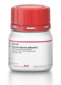 Bovine Serum Albumin lyophilized powder, essentially &#947;-globulin free, &#8805;98% (agarose gel electrophoresis)
