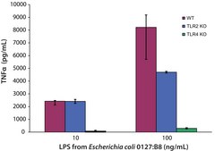 Lipopolysaccharides from Escherichia coli O127:B8 purified by ion-exchange chromatography, TLR ligand tested