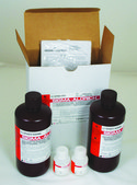 Amyloid Stain, Congo Red