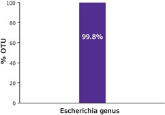 Microbial DNA standard from Escherichia coli Suitable for PCR, sequencing and NGS, 10&#160;ng/&#956;L