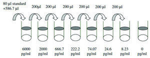 Human CD40L ELISA Kit for serum, plasma, cell culture supernatant and urine