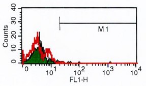 Anti-CD28 antibody, Mouse monoclonal clone CD28.2, purified from hybridoma cell culture
