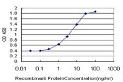 Monoclonal Anti-NANOG antibody produced in mouse clone 2E11, purified immunoglobulin, buffered aqueous solution