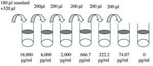 Human Tumor Necrosis Factor &#946; ELISA Kit for serum, plasma, cell culture supernatants and urine