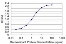 ANTI-T antibody produced in mouse clone 2A12, purified immunoglobulin, buffered aqueous solution