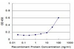 Monoclonal Anti-NPY, (C-terminal) antibody produced in mouse clone 2C10, purified immunoglobulin, buffered aqueous solution