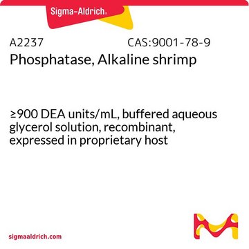 Phosphatase, Alkaline shrimp &#8805;900&#160;DEA units/mL, buffered aqueous glycerol solution, recombinant, expressed in proprietary host