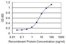 Monoclonal Anti-DAP antibody produced in mouse clone 3C5, purified immunoglobulin, buffered aqueous solution