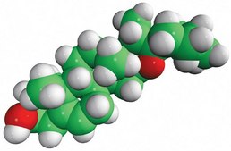 diosgenin Avanti Research&#8482; - A Croda Brand