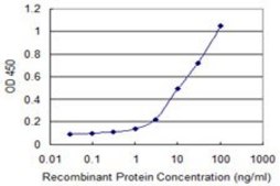 Monoclonal Anti-HLA-DQA1 antibody produced in mouse clone 1A3, purified immunoglobulin, buffered aqueous solution