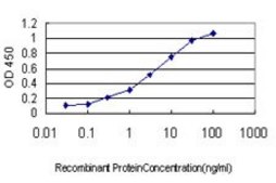 Monoclonal Anti-MAP2K3 antibody produced in mouse clone 2F12, purified immunoglobulin, buffered aqueous solution