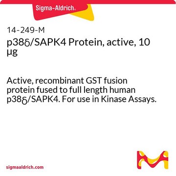 p38&#948;/SAPK4 Protein, active, 10 &#181;g Active, recombinant GST fusion protein fused to full length human p38&#948;/SAPK4. For use in Kinase Assays.