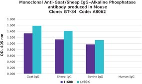 Anti-Goat/Sheep IgG&#8722;Alkaline Phosphatase antibody, Mouse monoclonal clone GT-34, purified from hybridoma cell culture
