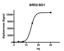 BRD2 (65-187) His tag human recombinant, expressed in E. coli, &#8805;90% (SDS-PAGE)