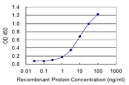 Monoclonal Anti-VWF antibody produced in mouse clone 1A11, purified immunoglobulin, buffered aqueous solution