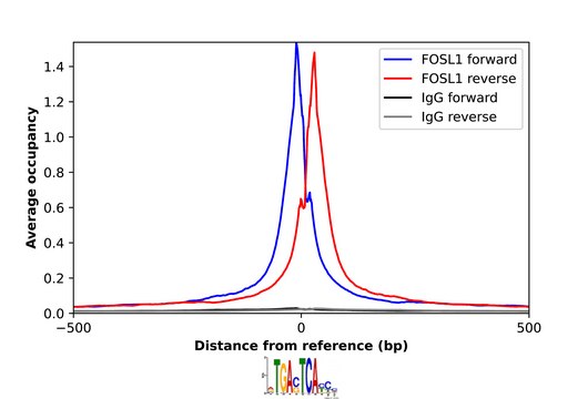 Anti-FOSL1 antibody produced in rabbit Prestige Antibodies&#174; Powered by Atlas Antibodies, affinity isolated antibody