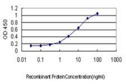 Monoclonal Anti-PRKAG2 antibody produced in mouse clone 3C4, purified immunoglobulin, buffered aqueous solution