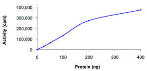 PKN2/PRK2, active, GST tagged human PRECISIO&#174; Kinase, recombinant, expressed in baculovirus infected Sf9 cells, &#8805;70% (SDS-PAGE), buffered aqueous glycerol solution