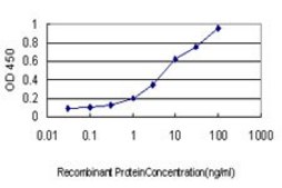 Monoclonal Anti-CX3CL1 antibody produced in mouse clone 1D6, purified immunoglobulin, buffered aqueous solution