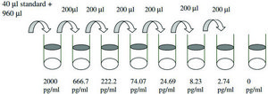 Rat Fractalkine ELISA Kit for cell and tissue lysates