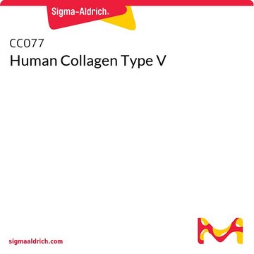 Human Collagen Type V 1&#160;mg/mL, solution, BioReagent, suitable for cell culture