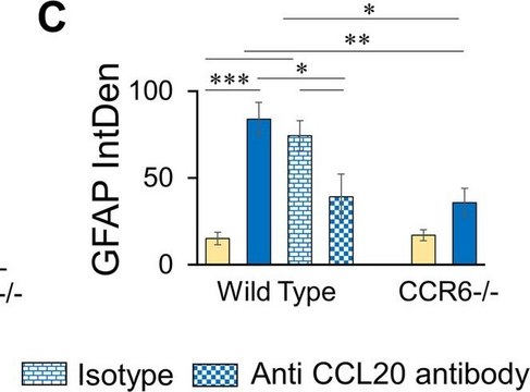 Anti-Glial Fibrillary Acidic Protein Antibody Chemicon&#174;, from chicken
