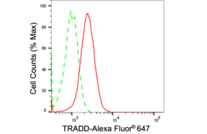 Anti TRADD Antibody, clone 24GB2230, Rabbit Monoclonal clone 24GB2230, recombinant rabbit monoclonal, expressed in HEK293 cells