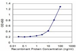 Monoclonal Anti-ITM2B antibody produced in mouse clone 1A10, purified immunoglobulin, buffered aqueous solution